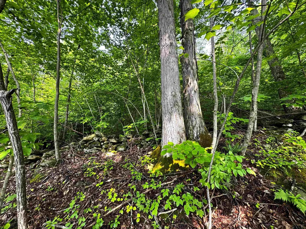 0 Hawley Mountain Road Arlington VT 05250