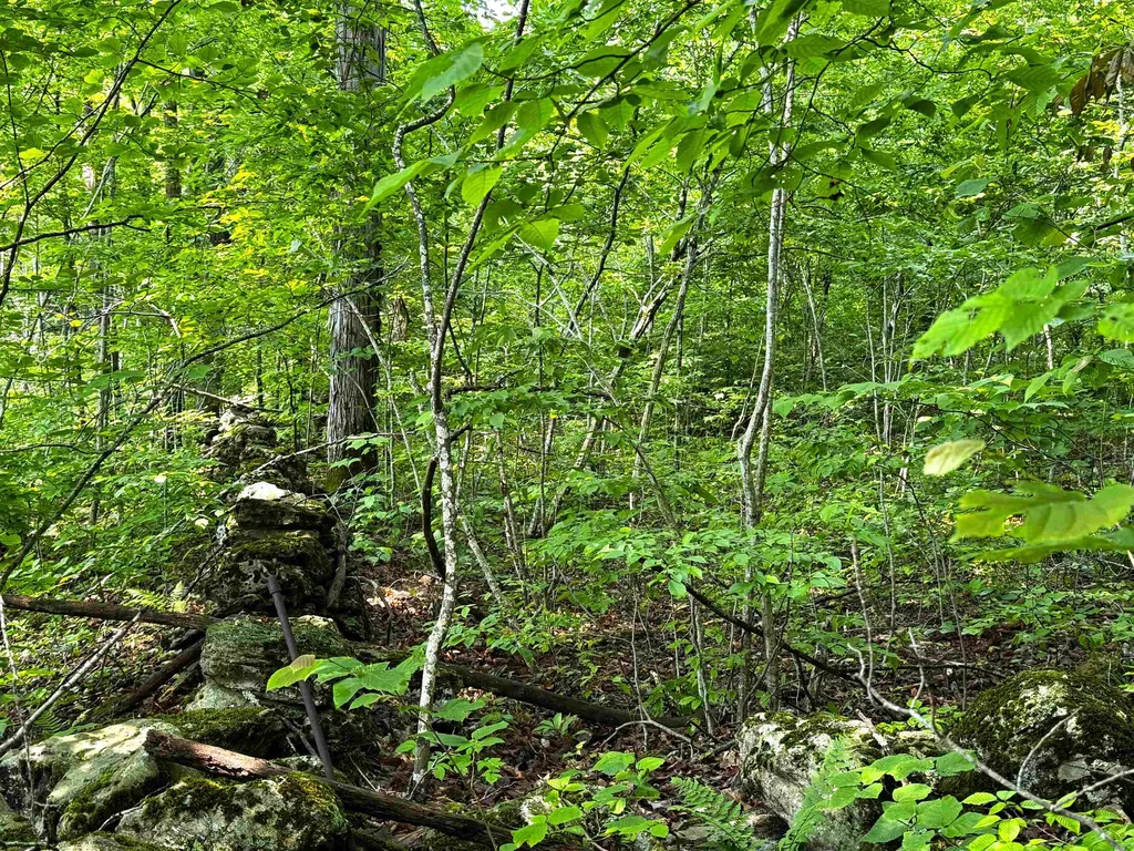 0 Hawley Mountain Road Arlington VT 05250