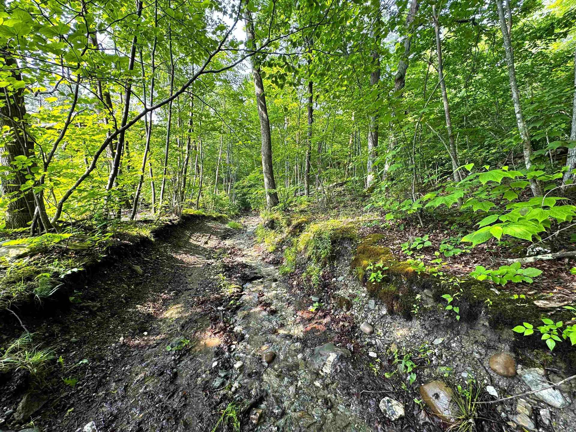 0 Hawley Mountain Road Arlington VT 05250