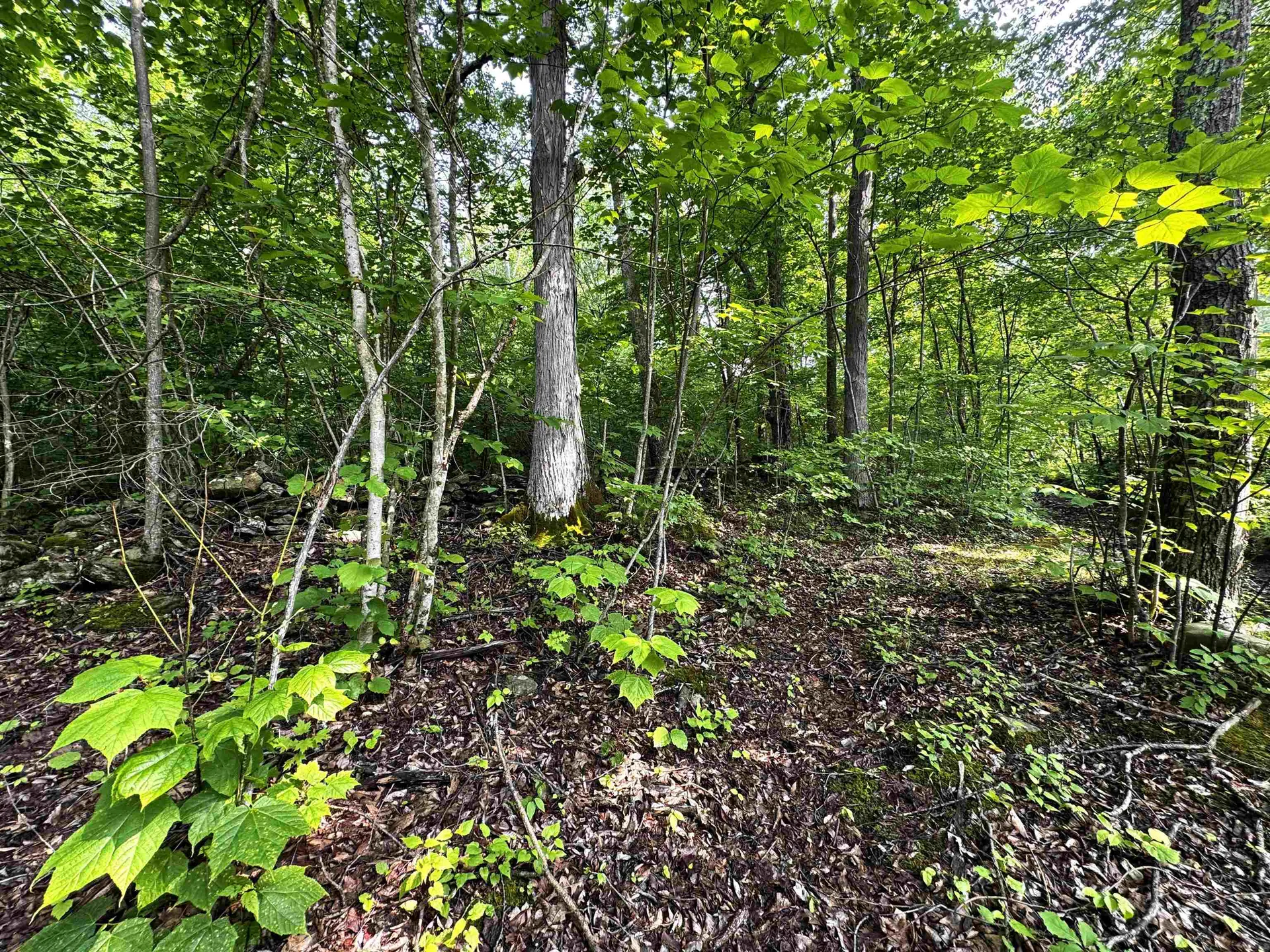 0 Hawley Mountain Road Arlington VT 05250