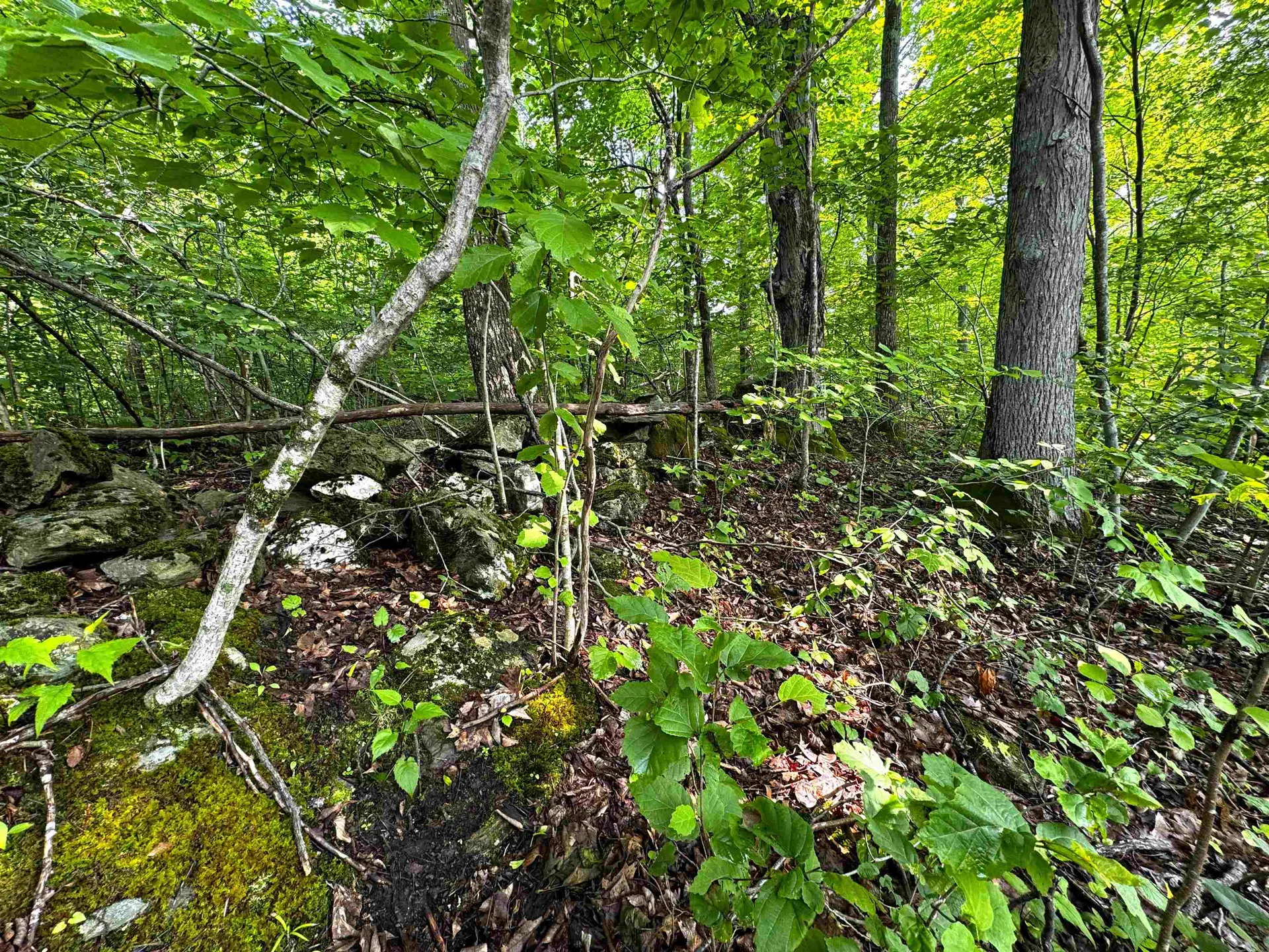 0 Hawley Mountain Road Arlington VT 05250