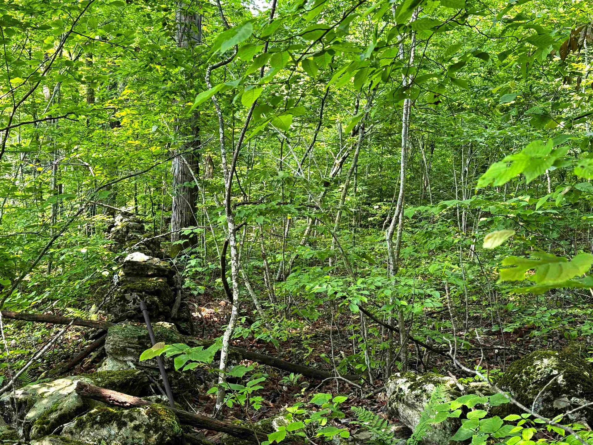 0 Hawley Mountain Road Arlington VT 05250