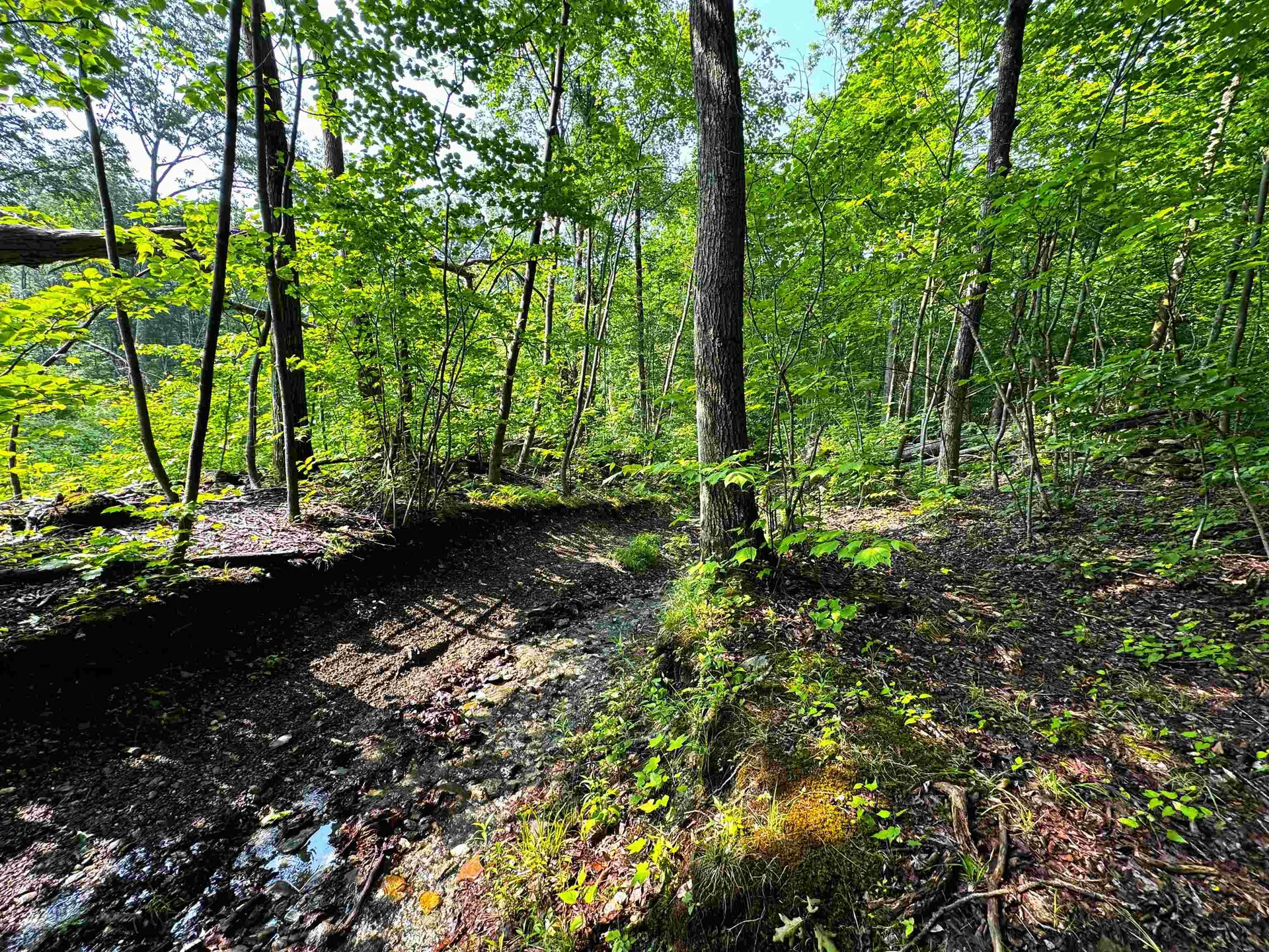 0 Hawley Mountain Road Arlington VT 05250