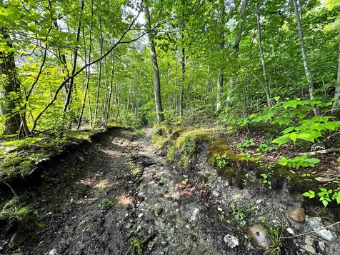 0 Hawley Mountain Road Arlington VT 05250