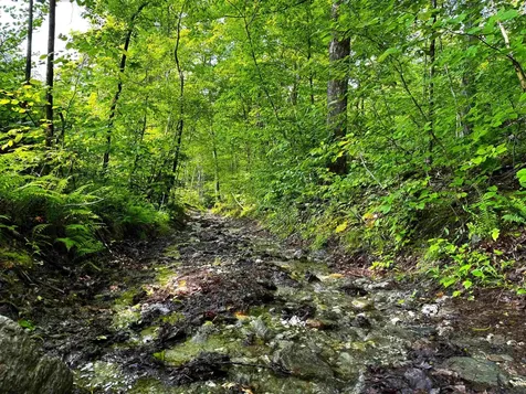 0 Hawley Mountain Road Arlington VT 05250