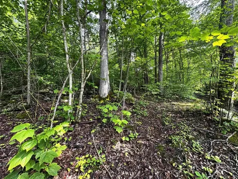 0 Hawley Mountain Road Arlington VT 05250