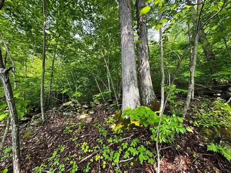 0 Hawley Mountain Road Arlington VT 05250