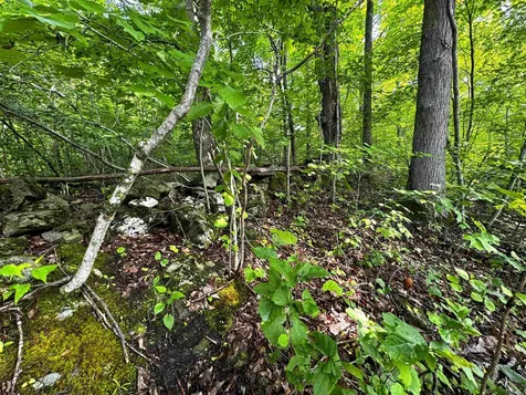 0 Hawley Mountain Road Arlington VT 05250