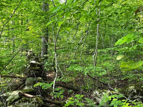 0 Hawley Mountain Road Arlington VT 05250