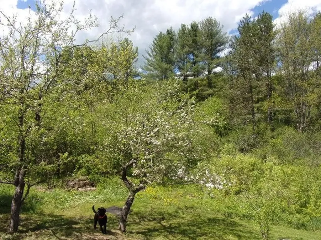 1539 Berlin Pond Road Northfield VT 05663