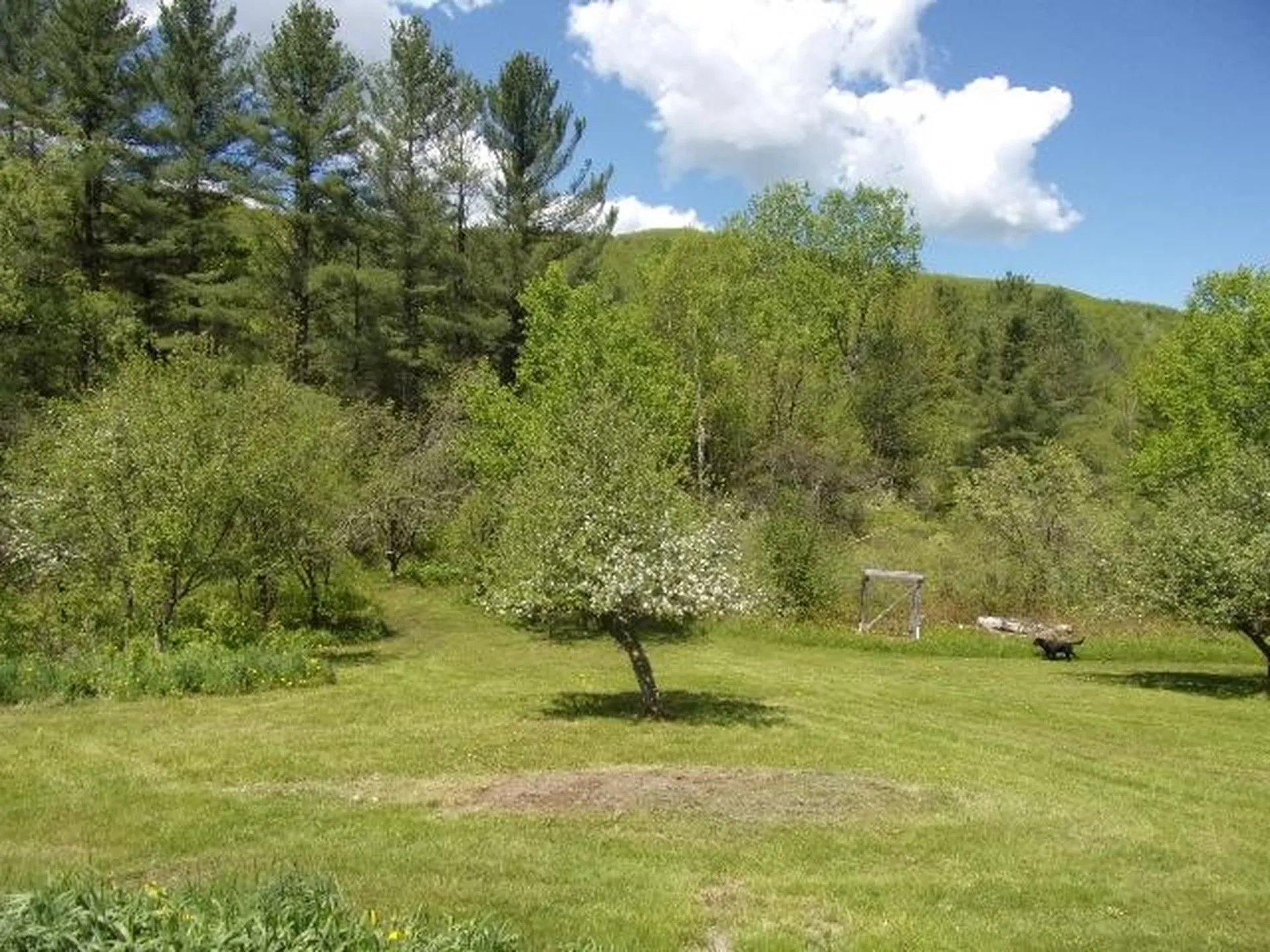 1539 Berlin Pond Road Northfield VT 05663