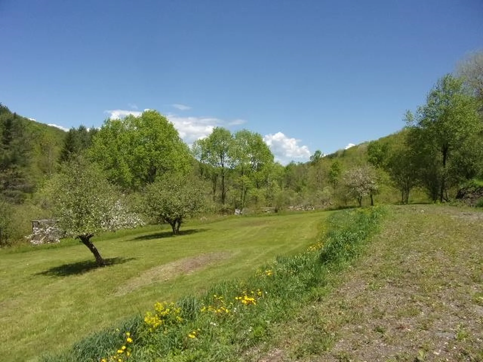 1539 Berlin Pond Road Northfield VT 05663