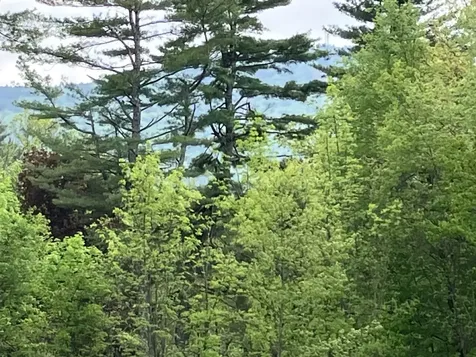 14 Dodge Hill Road Henniker NH 03242