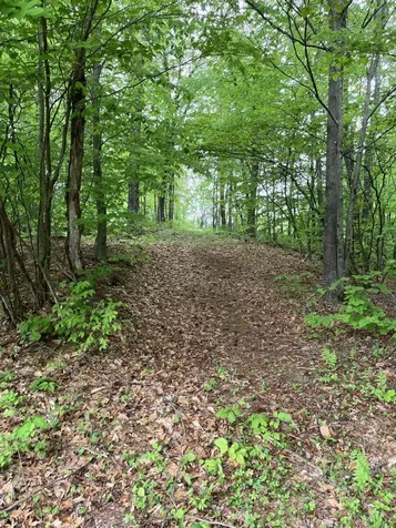 14 Dodge Hill Road Henniker NH 03242