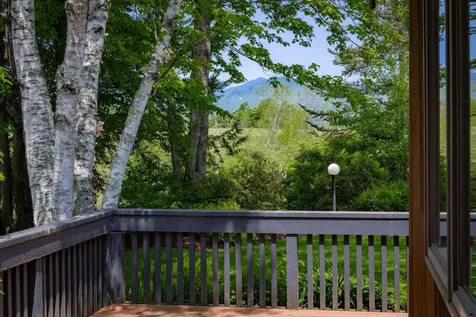 132 Wildlife Road Stowe VT 05672