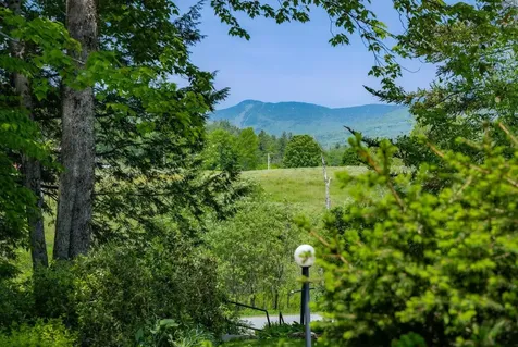 132 Wildlife Road Stowe VT 05672