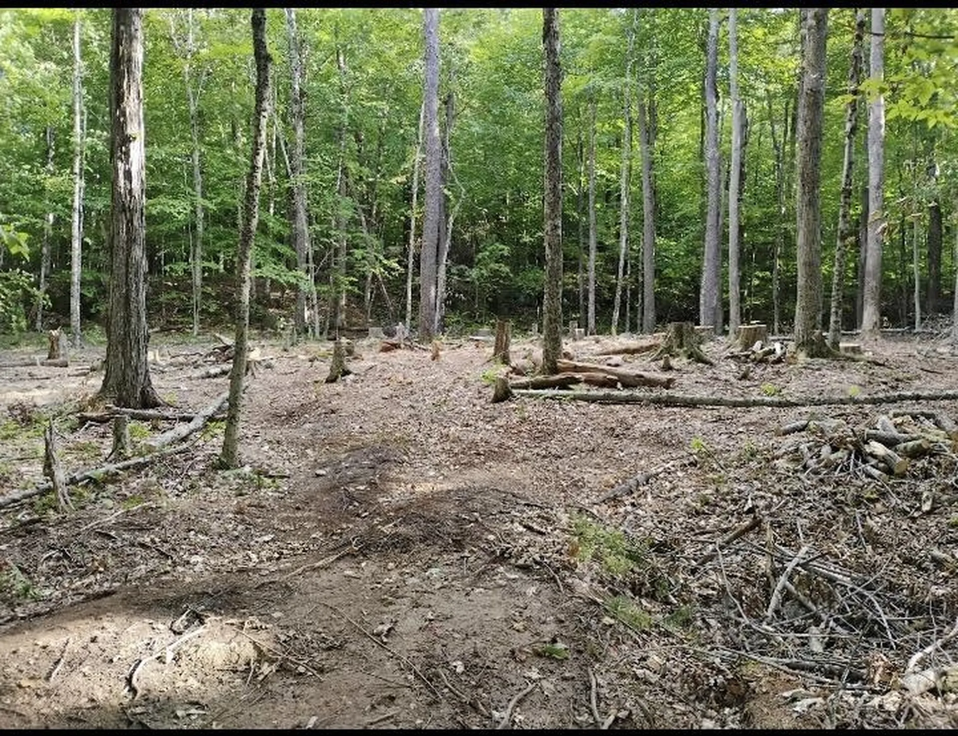 335 Coolidge Drive Washington NH 03280