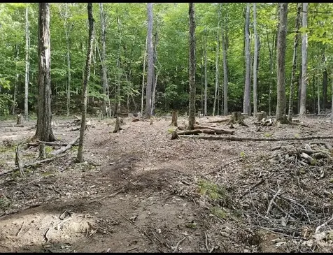 335 Coolidge Drive Washington NH 03280