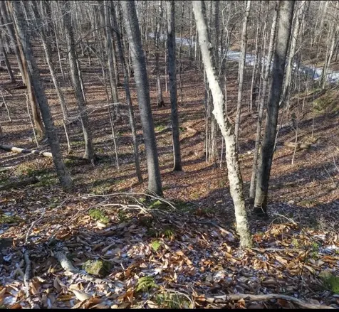 335 Coolidge Drive Washington NH 03280