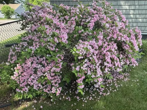 78 Bellevue Street Winooski VT 05404