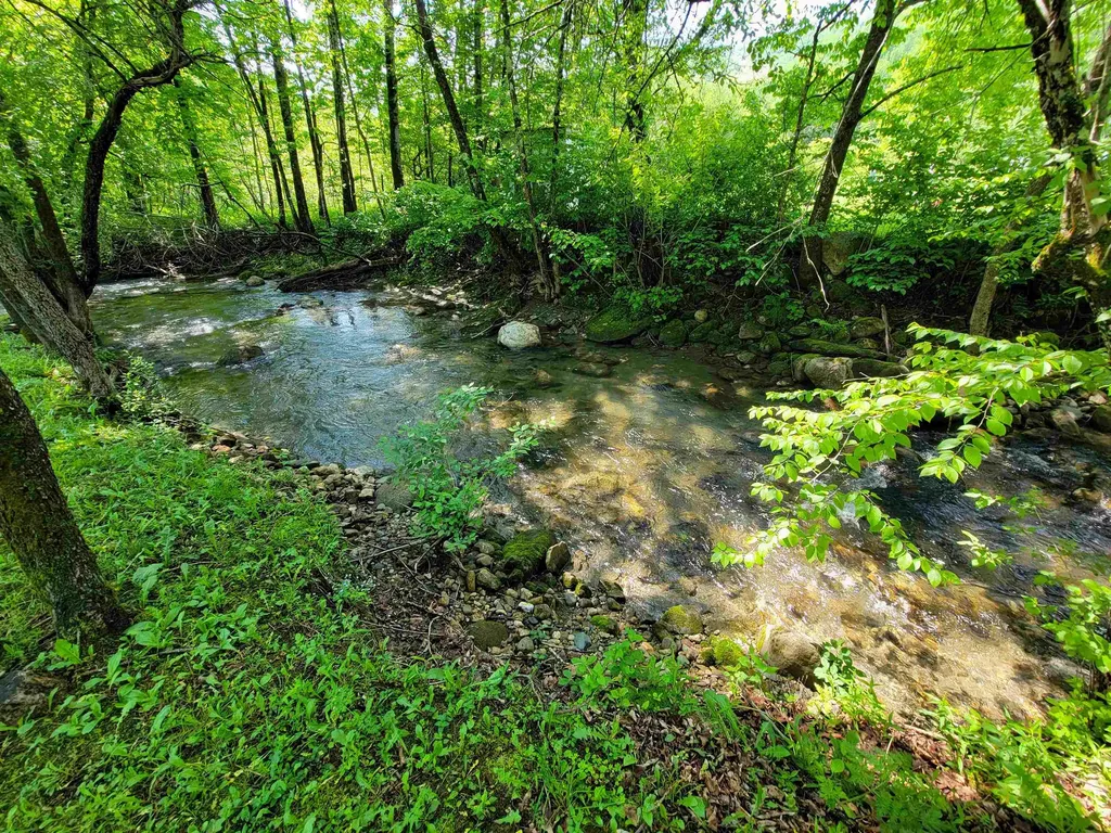 28 Fish Pond Road Orange VT 05086