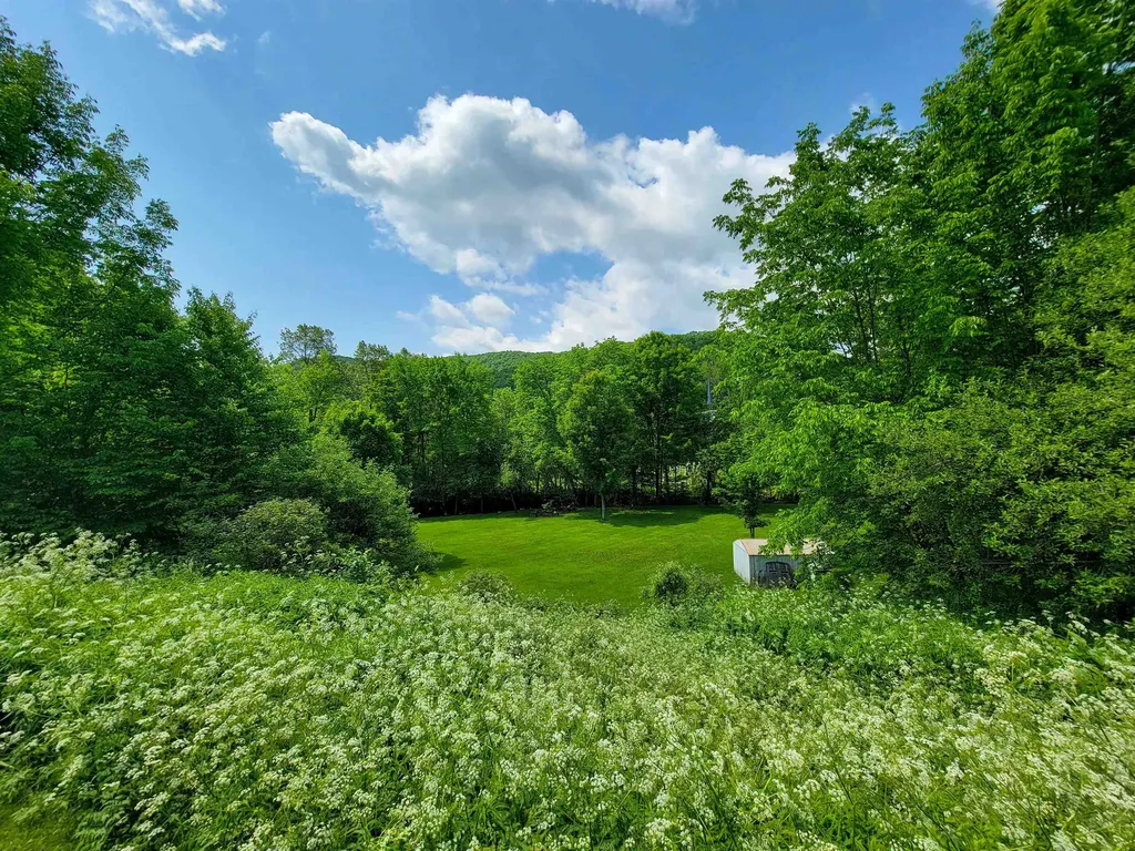 28 Fish Pond Road Orange VT 05086