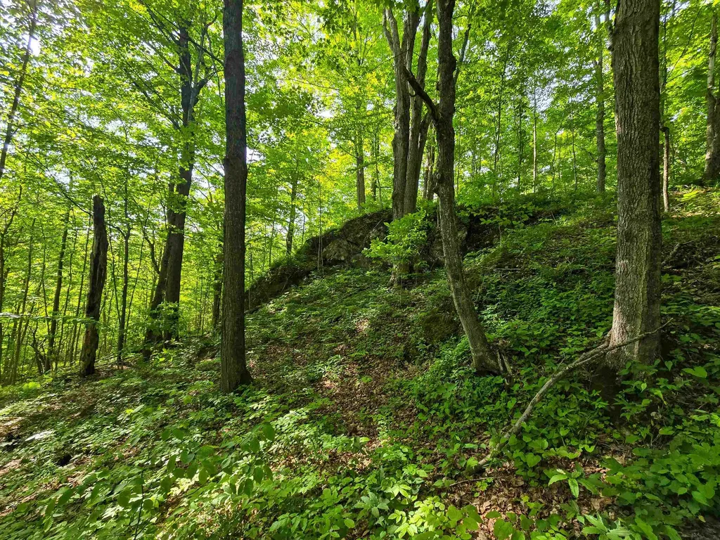 28 Fish Pond Road Orange VT 05086