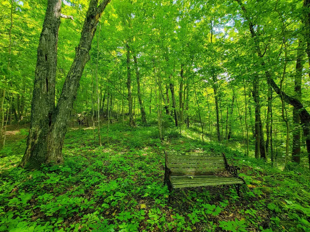 28 Fish Pond Road Orange VT 05086