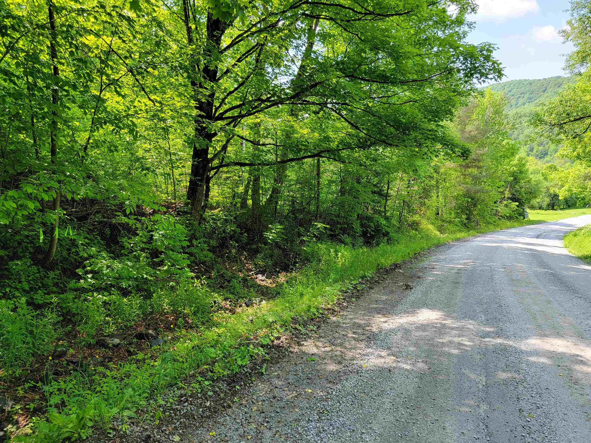 28 Fish Pond Road Orange VT 05086