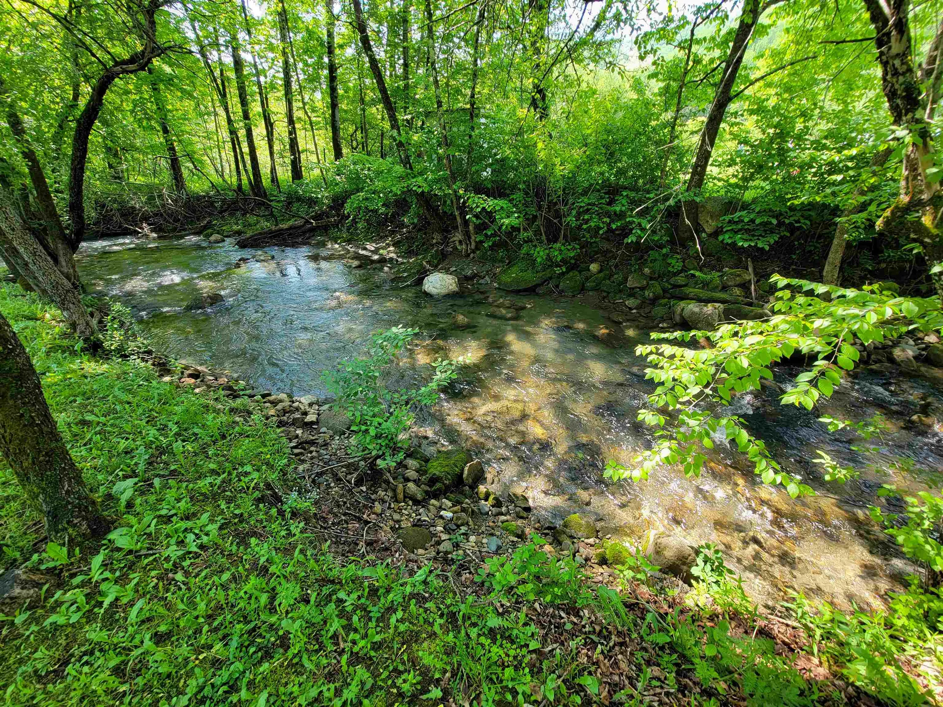 28 Fish Pond Road Orange VT 05086