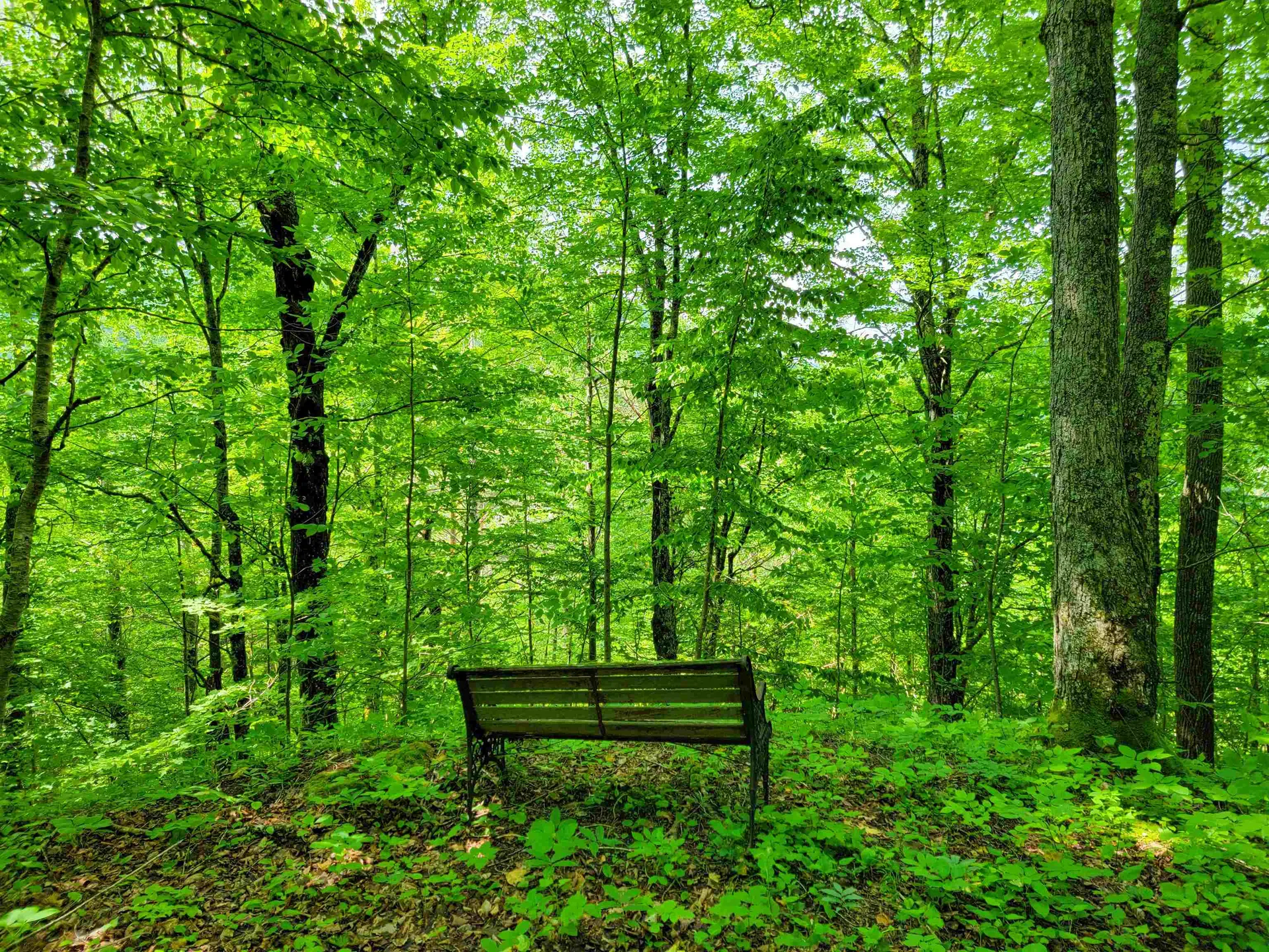 28 Fish Pond Road Orange VT 05086