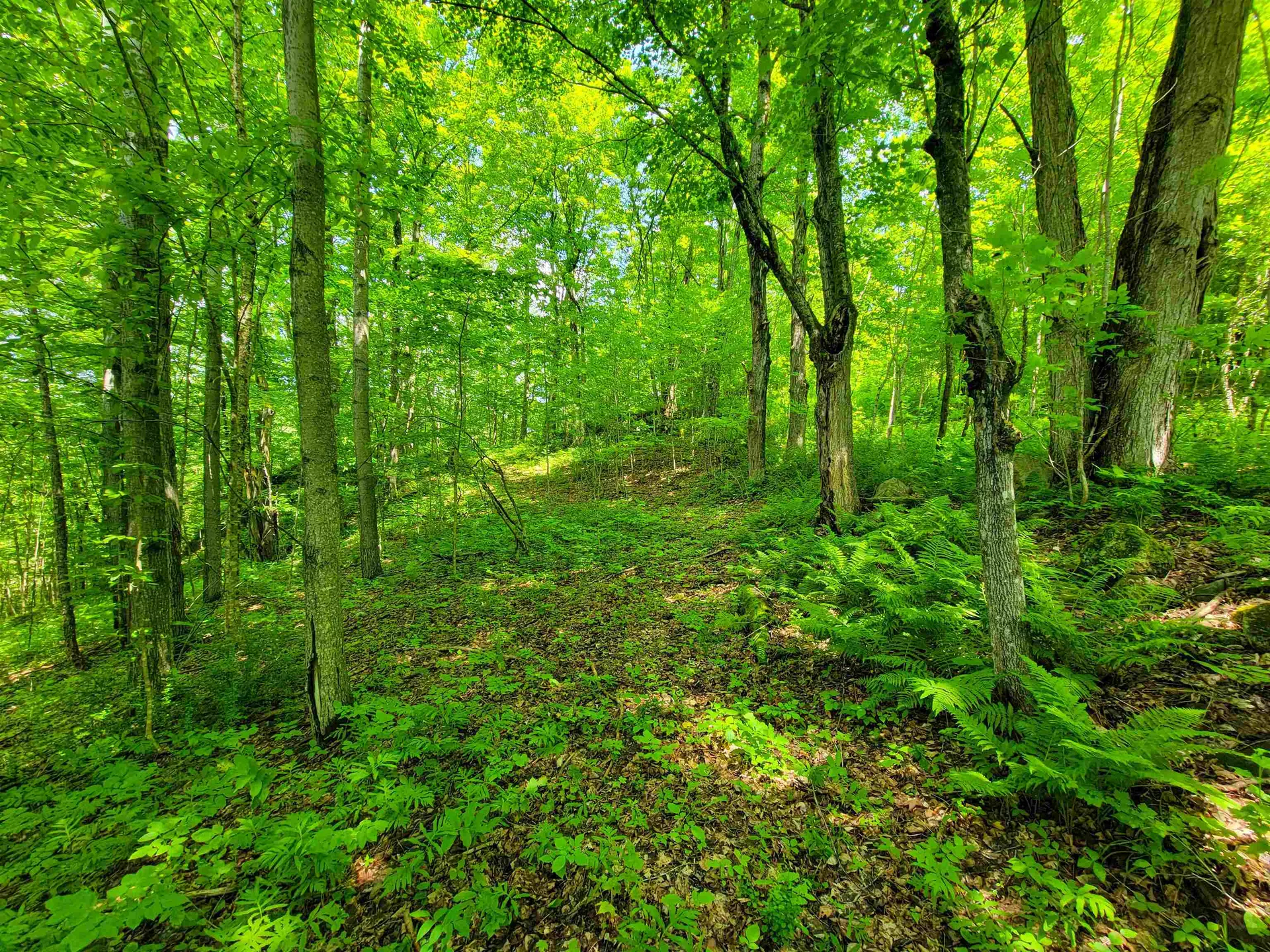 28 Fish Pond Road Orange VT 05086