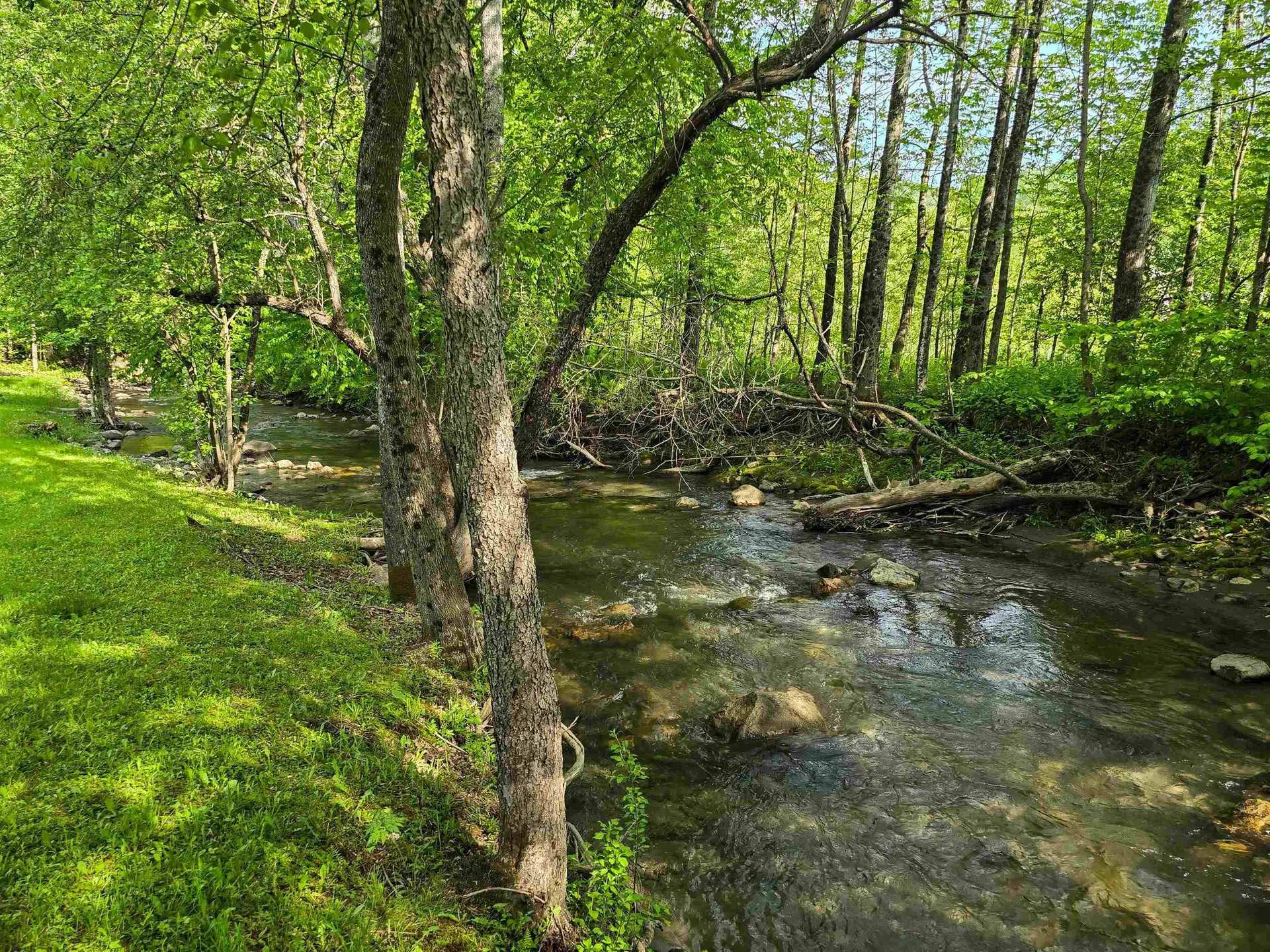 28 Fish Pond Road Orange VT 05086