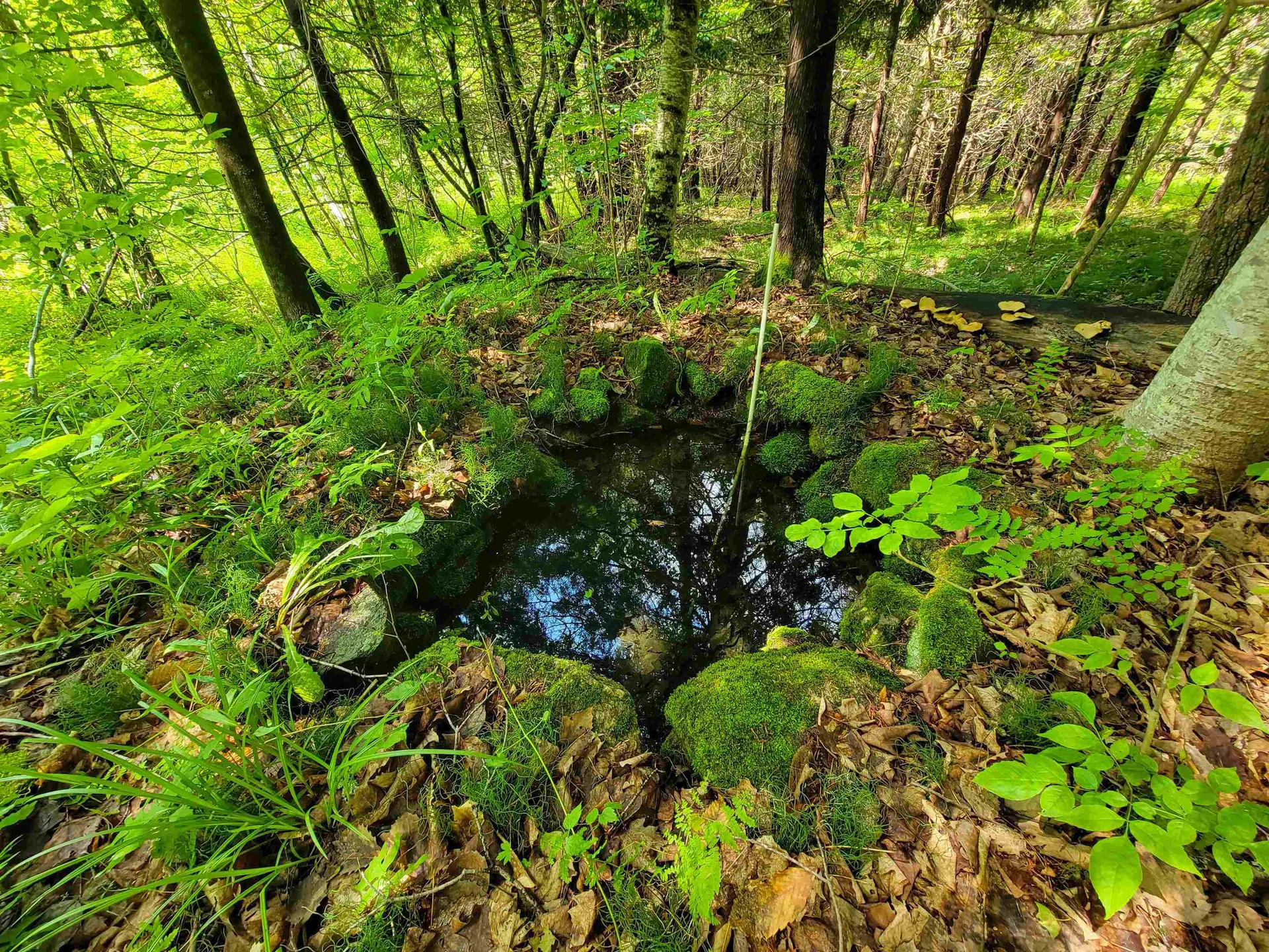 28 Fish Pond Road Orange VT 05086