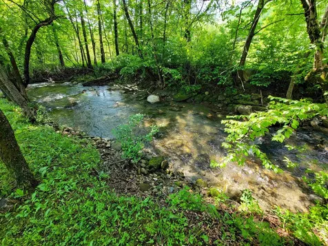 28 Fish Pond Road Orange VT 05086