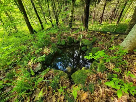 28 Fish Pond Road Orange VT 05086