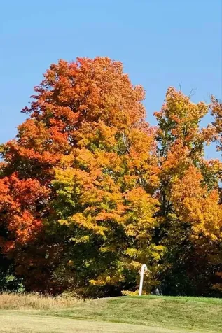 908 Gilbert Road Williamstown VT 05679