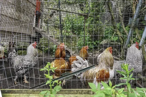 11 Chalk Pond Road Sutton NH 03221