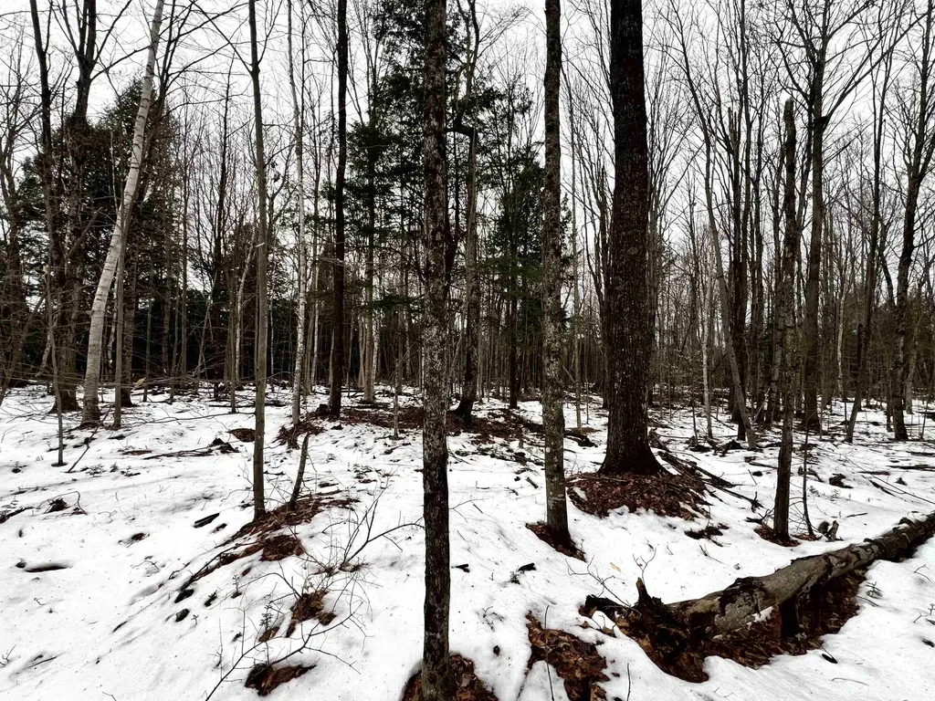 -- Baird Road Barton VT 05822