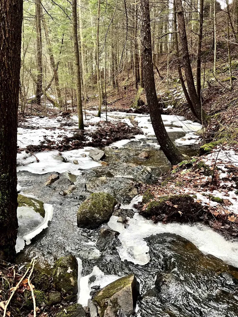 -- Baird Road Barton VT 05822