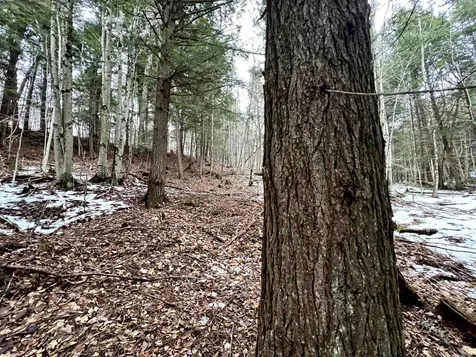 -- Baird Road Barton VT 05822