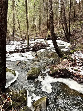 -- Baird Road Barton VT 05822