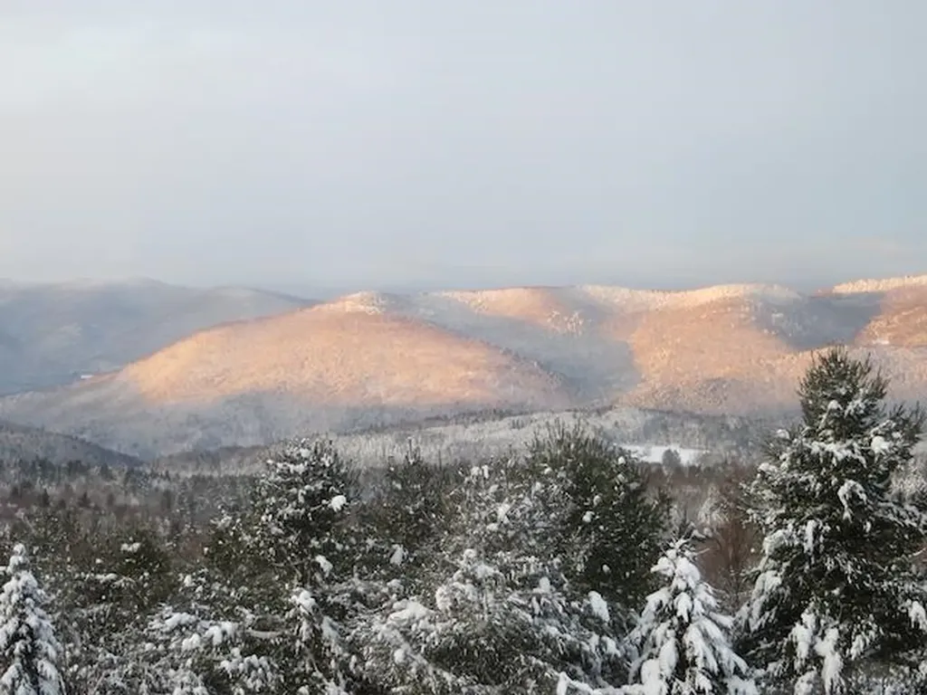 1074 N Hollow Road Rochester VT 05767