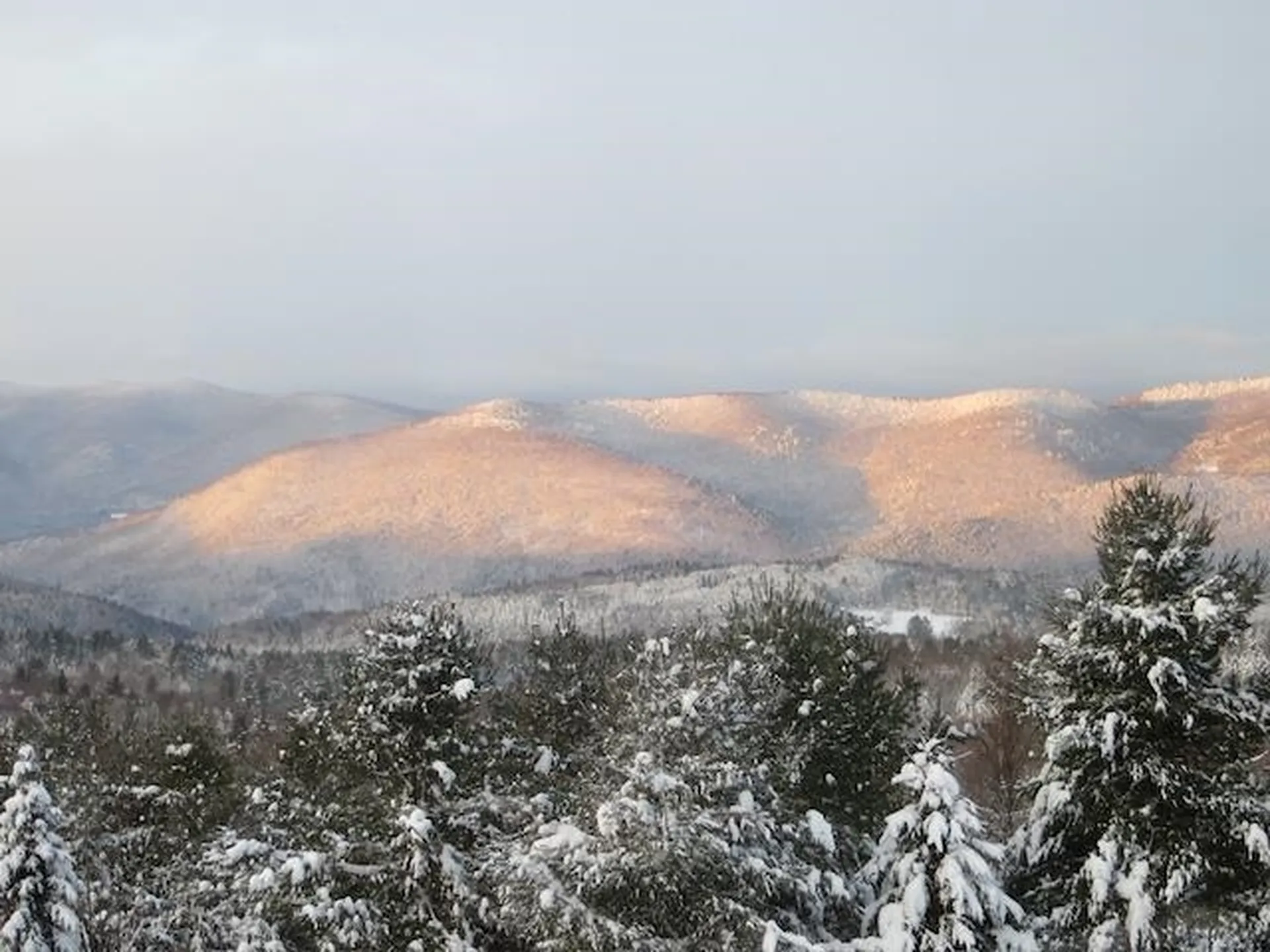 1074 N Hollow Road Rochester VT 05767