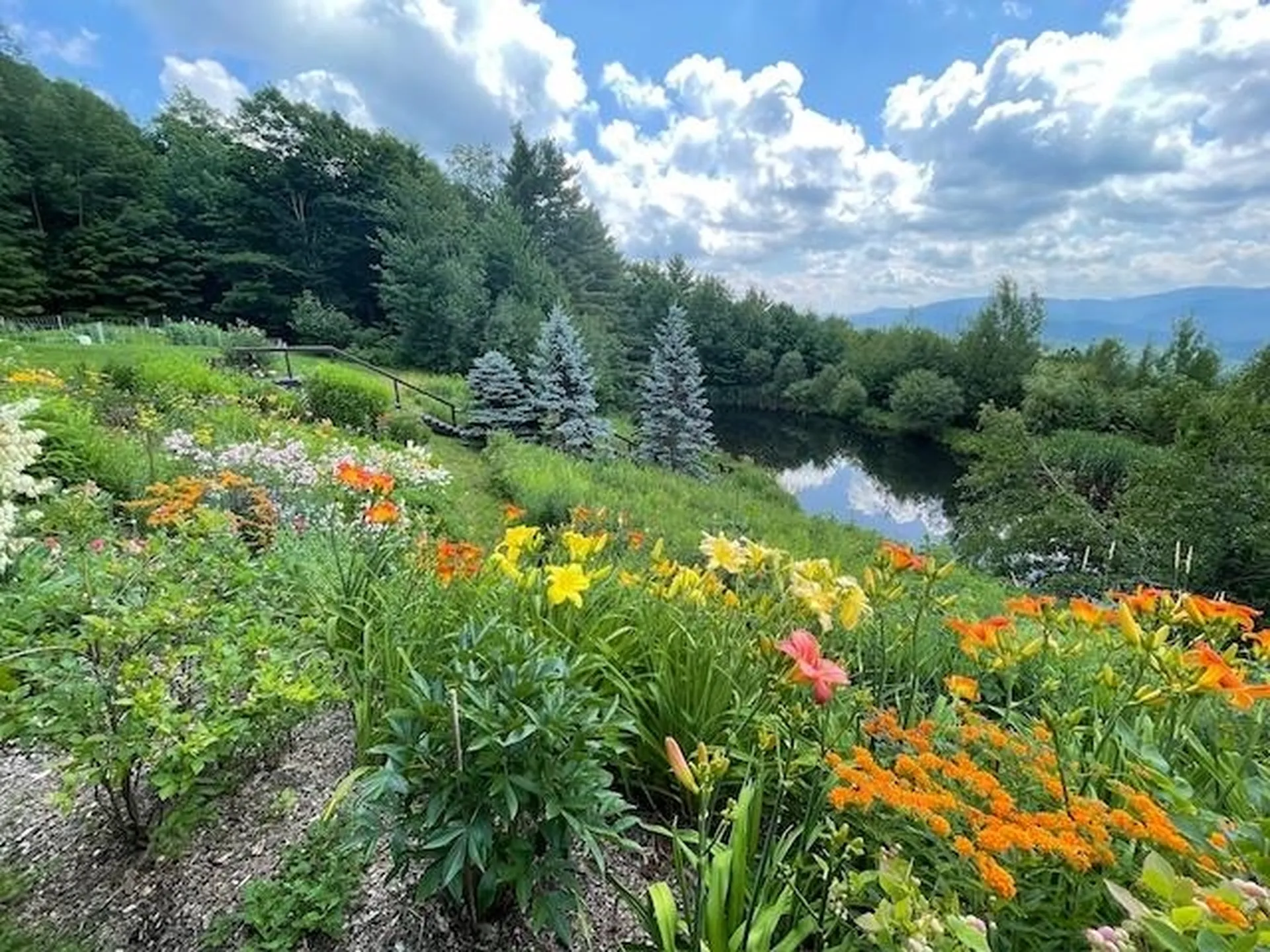 1074 N Hollow Road Rochester VT 05767