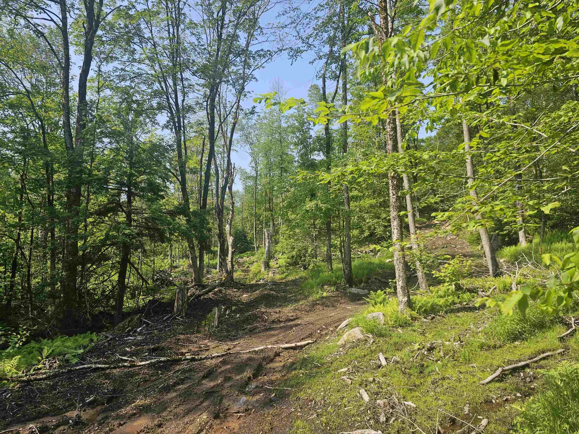 0 Stones Mill Road Chesterfield NH 03462