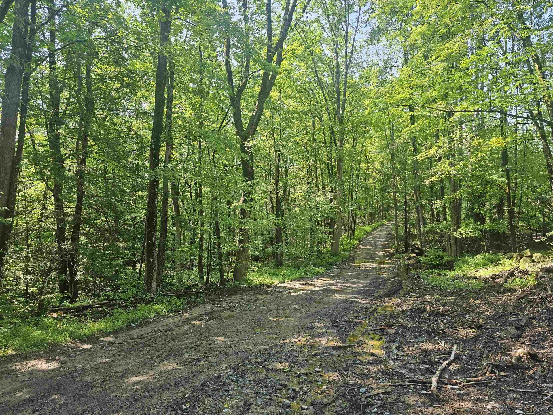 0 Stones Mill Road Chesterfield NH 03462