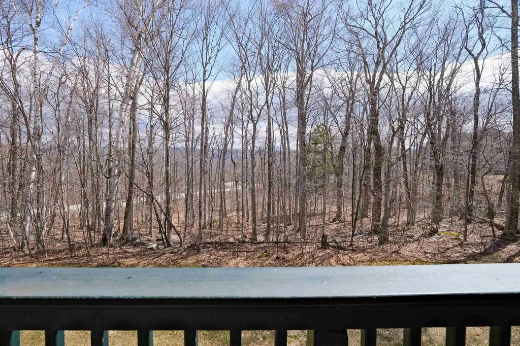 28 Fowler Road Ludlow VT 05149