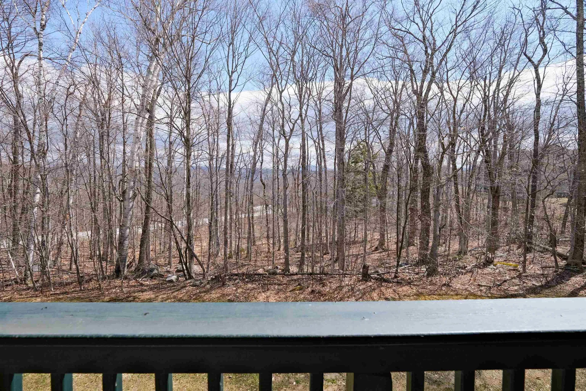 28 Fowler Road Ludlow VT 05149