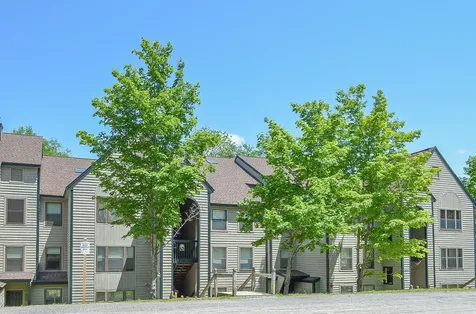 28 Fowler Road Ludlow VT 05149